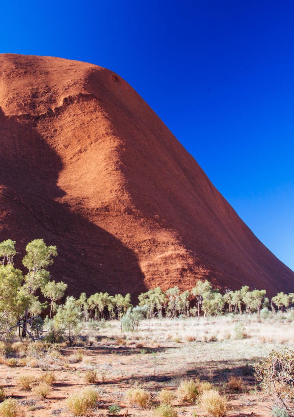 Uluru glowing red at sunset - iconic Australian outback